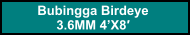Bubingga Birdeye  3.6MM 4’X8′